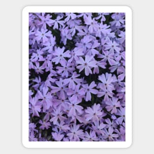 Purple Floral Garden Flower Pattern Sticker